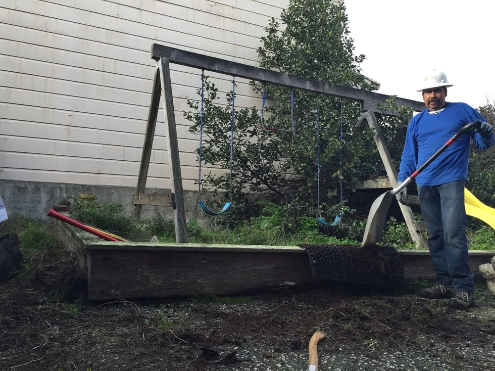 Affordable lawn care service in San Francisco, CA by Evergreen Tree & Gardening Service