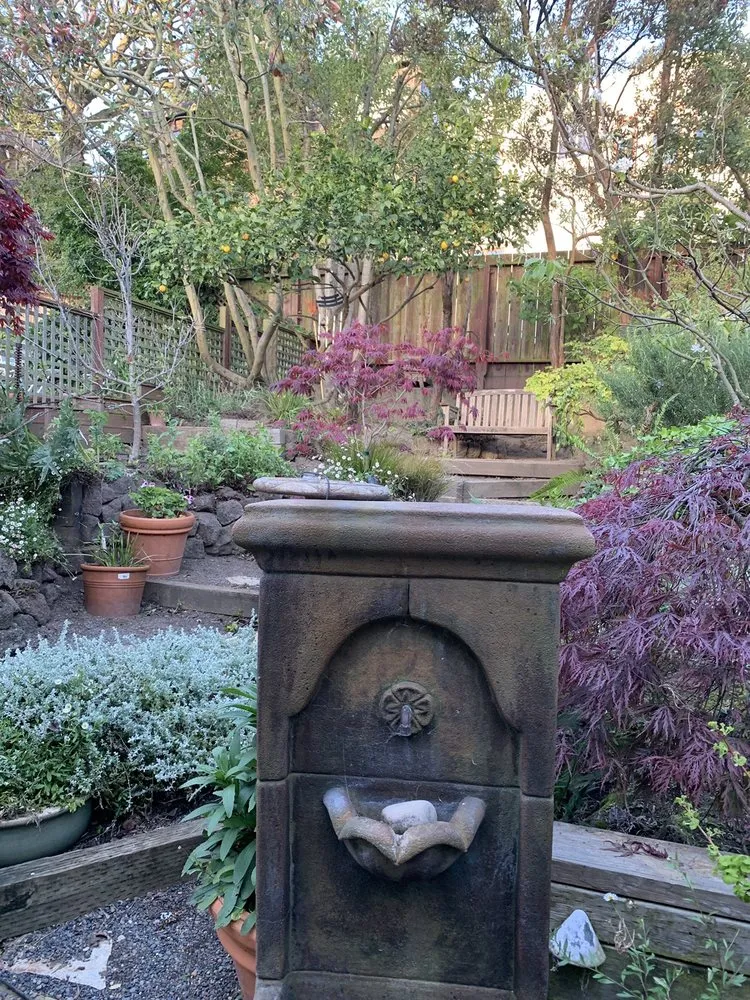 Professional outdoor landscaping for residential properties in San Francisco, CA by Evergreen Tree & Gardening Service