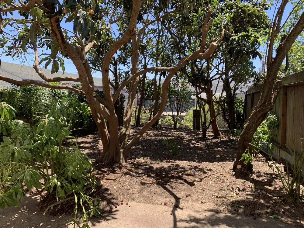 Local lawn care service in San Francisco, CA by Evergreen Tree & Gardening Service