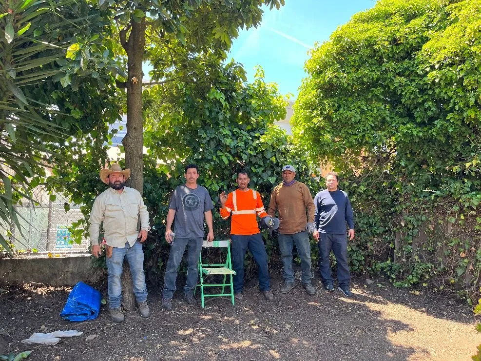 Expert residential landscaping for residential properties in San Francisco, CA by Evergreen Tree & Gardening Service