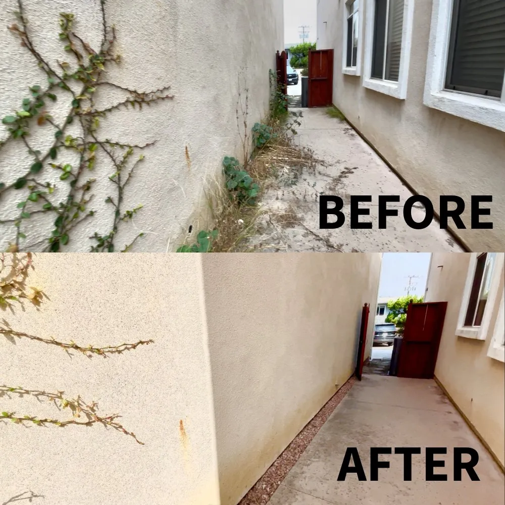 Local landscaping services in View Park, CA by Evergreen Tree & Lawn Services