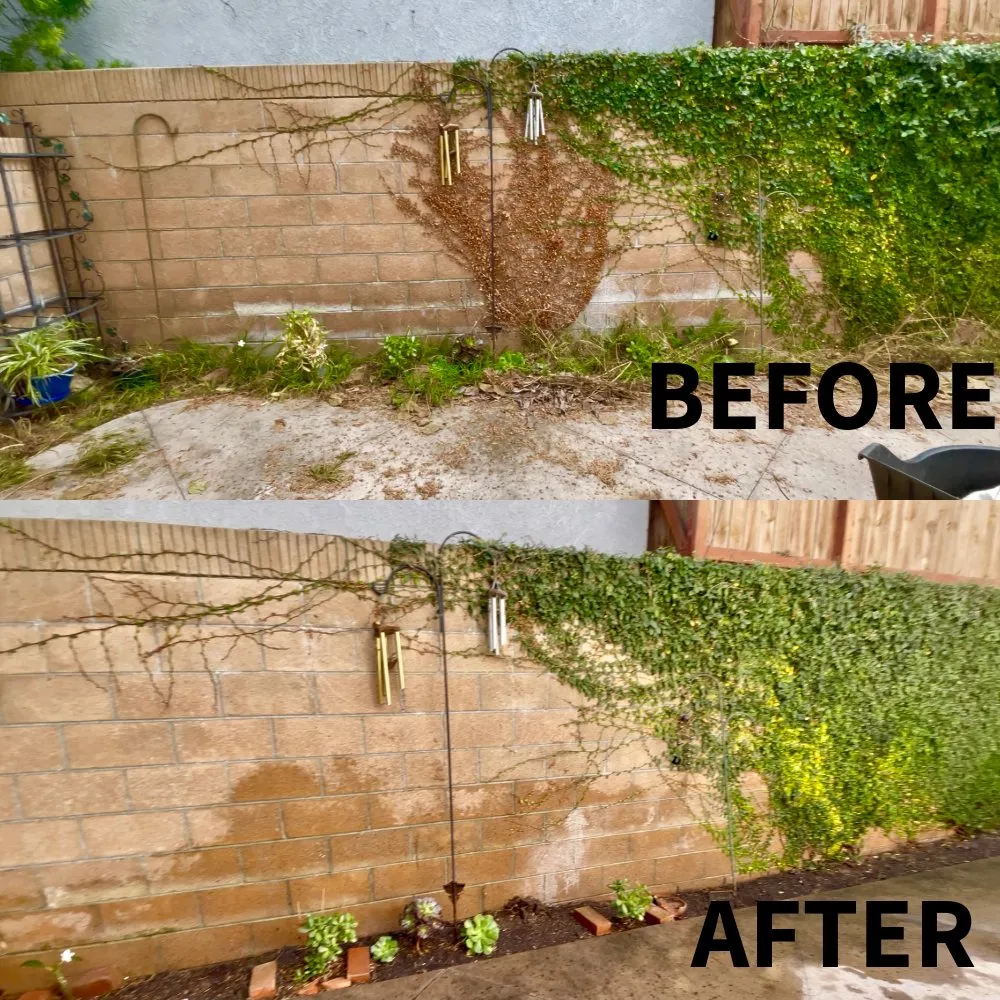 Reliable lawn mowing service with custom design across View Park, CA - Evergreen Tree & Lawn Services