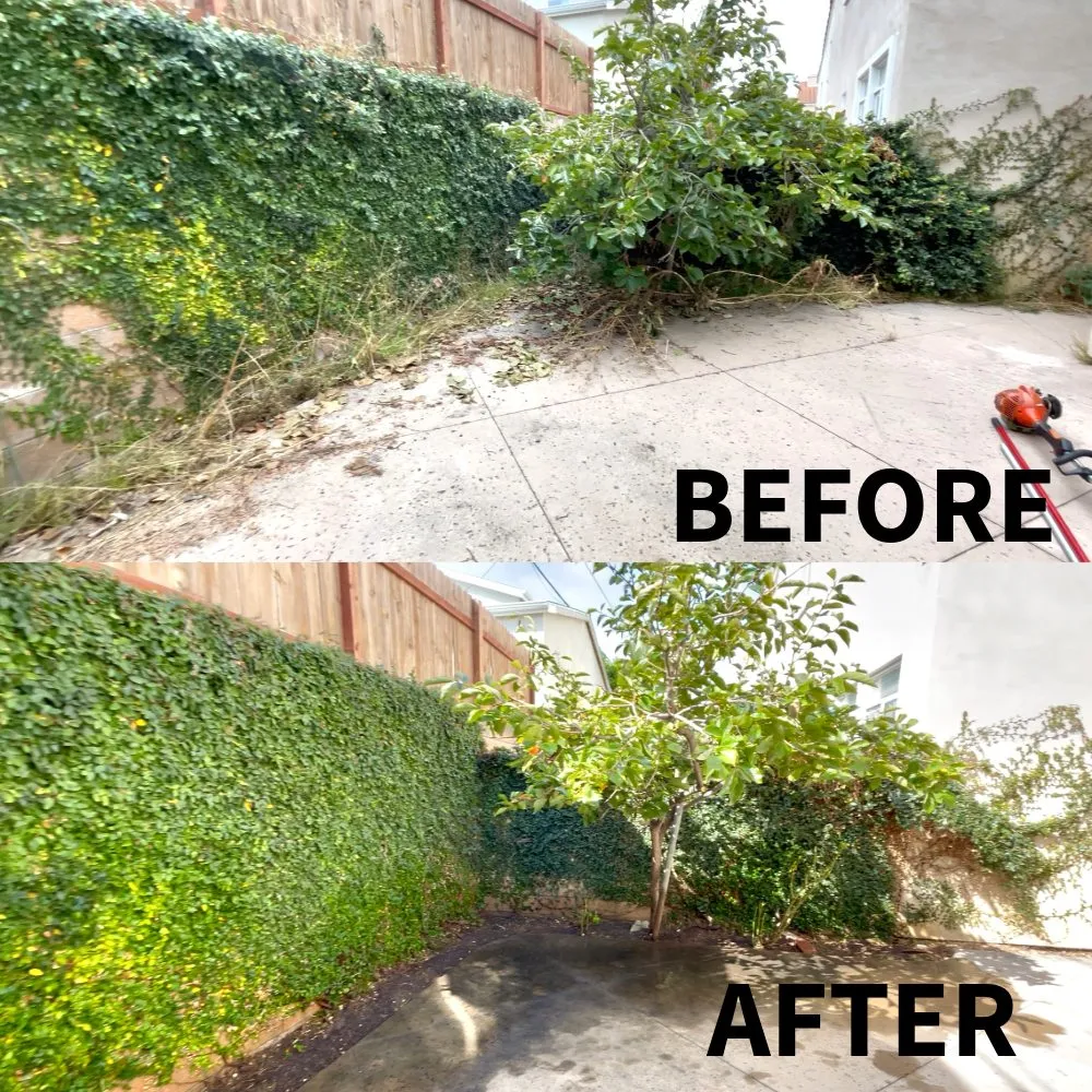 Top-rated garden landscaping experts serving View Park, CA - Evergreen Tree & Lawn Services