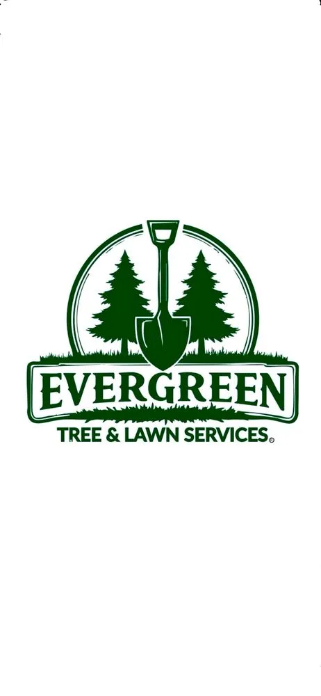 Reliable landscape design for beautiful yards in View Park, CA by Evergreen Tree & Lawn Services