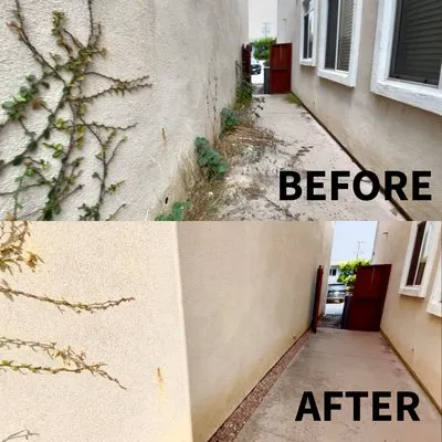 Evergreen Tree & Lawn Services