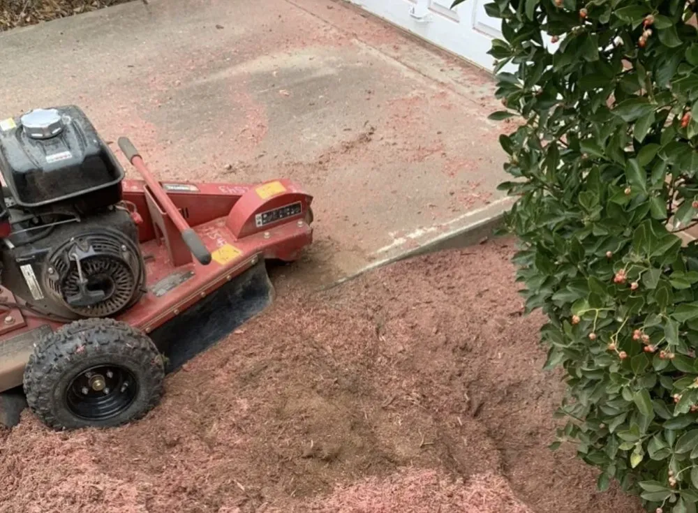 Professional landscaping services in Beltsville, MD - Evergreen Tree Experts