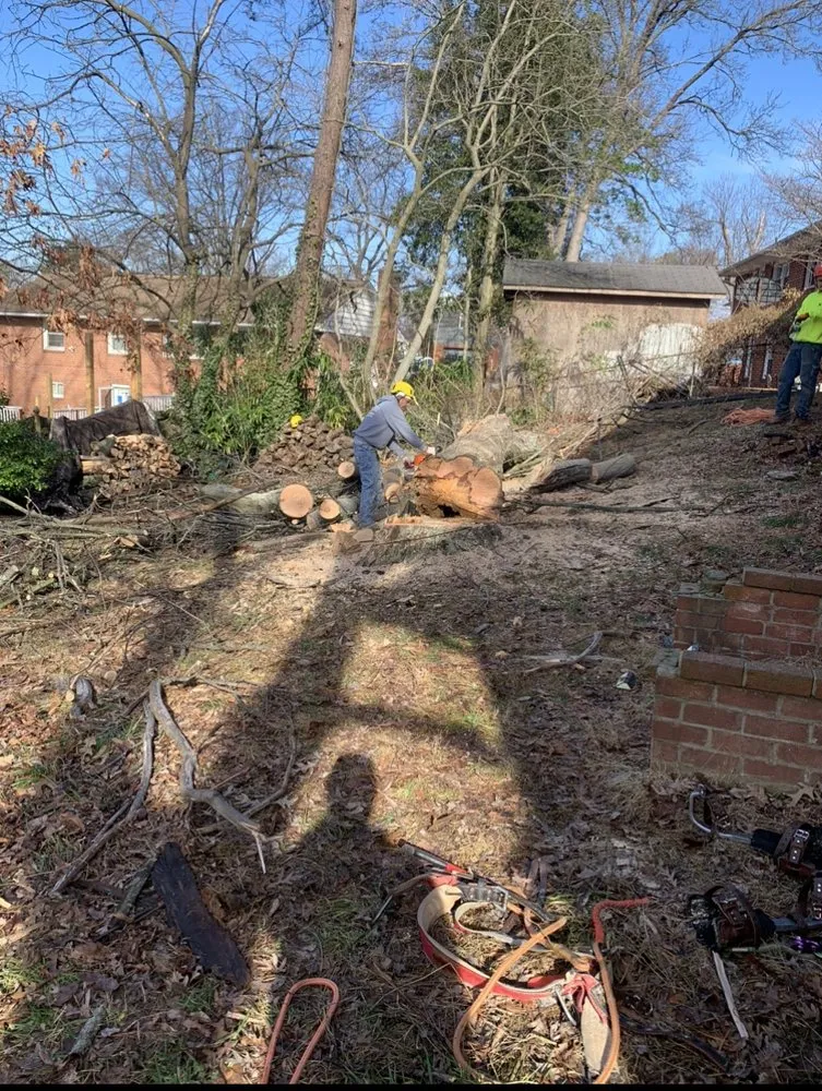 Expert outdoor landscaping with custom design in Beltsville, MD by Evergreen Tree Experts