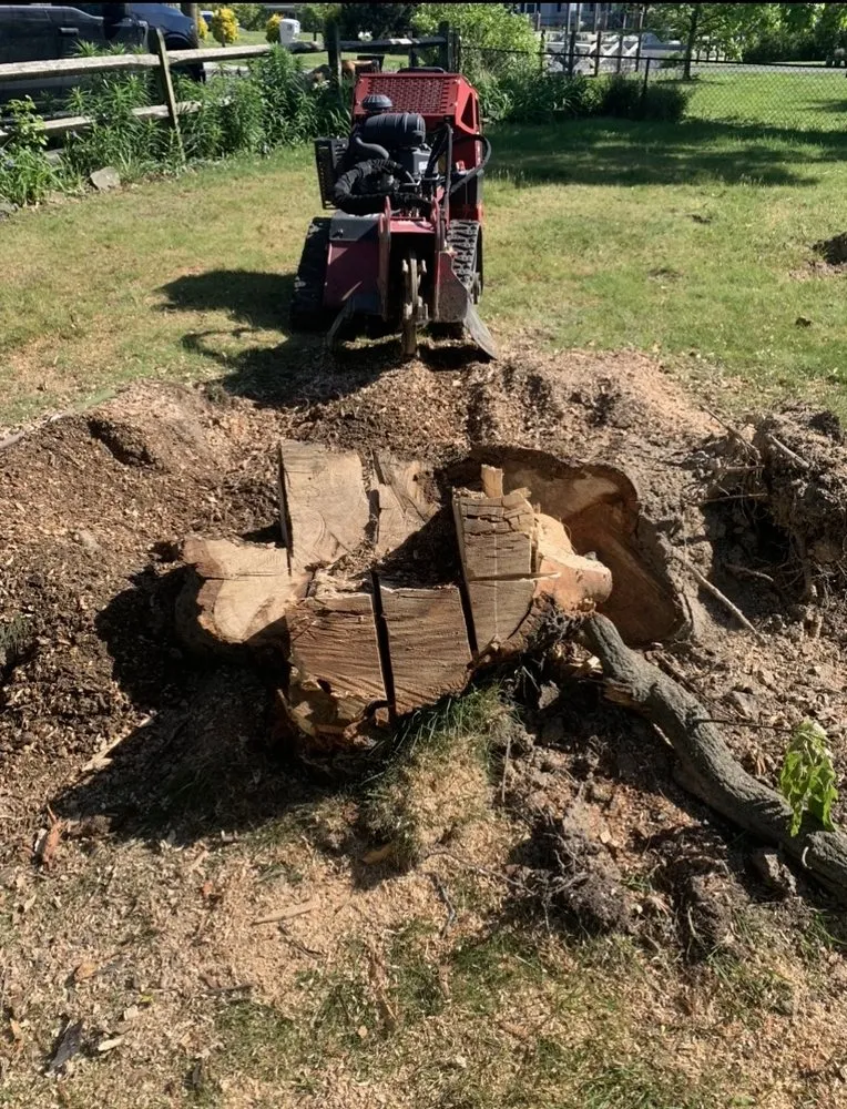 Local outdoor landscaping near you in Beltsville, MD by Evergreen Tree Experts