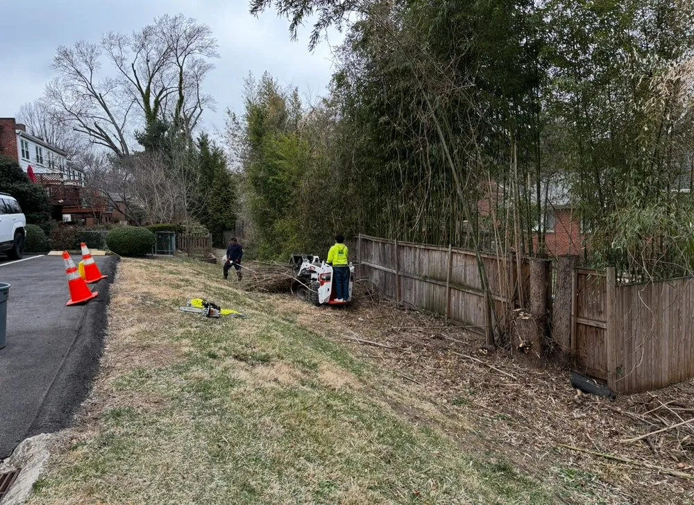 Custom garden landscaping for homes in Beltsville, MD by Evergreen Tree Experts