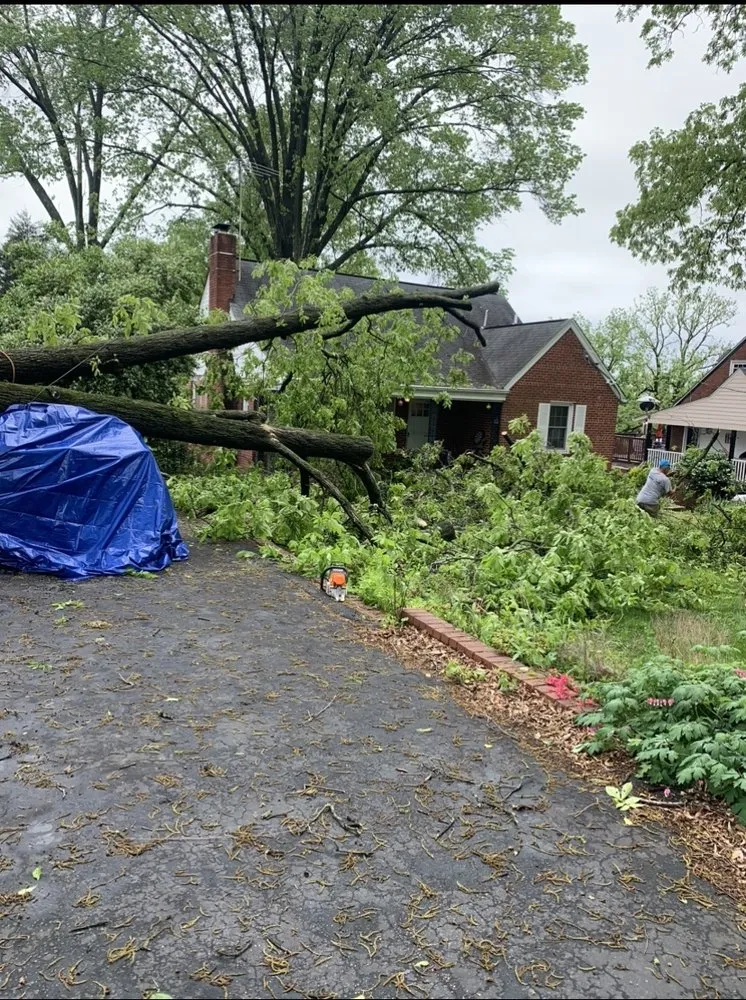 Expert garden landscaping with custom design across Beltsville, MD - Evergreen Tree Experts