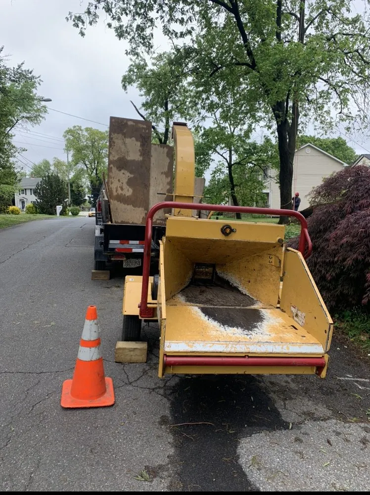 Professional landscape design with custom design in Beltsville, MD by Evergreen Tree Experts