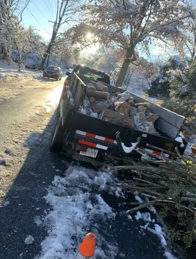 Local landscape design in Beltsville, MD - Evergreen Tree Experts