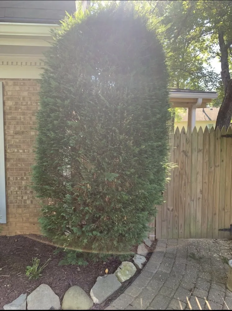 Affordable garden landscaping in Beltsville, MD by Evergreen Tree Experts