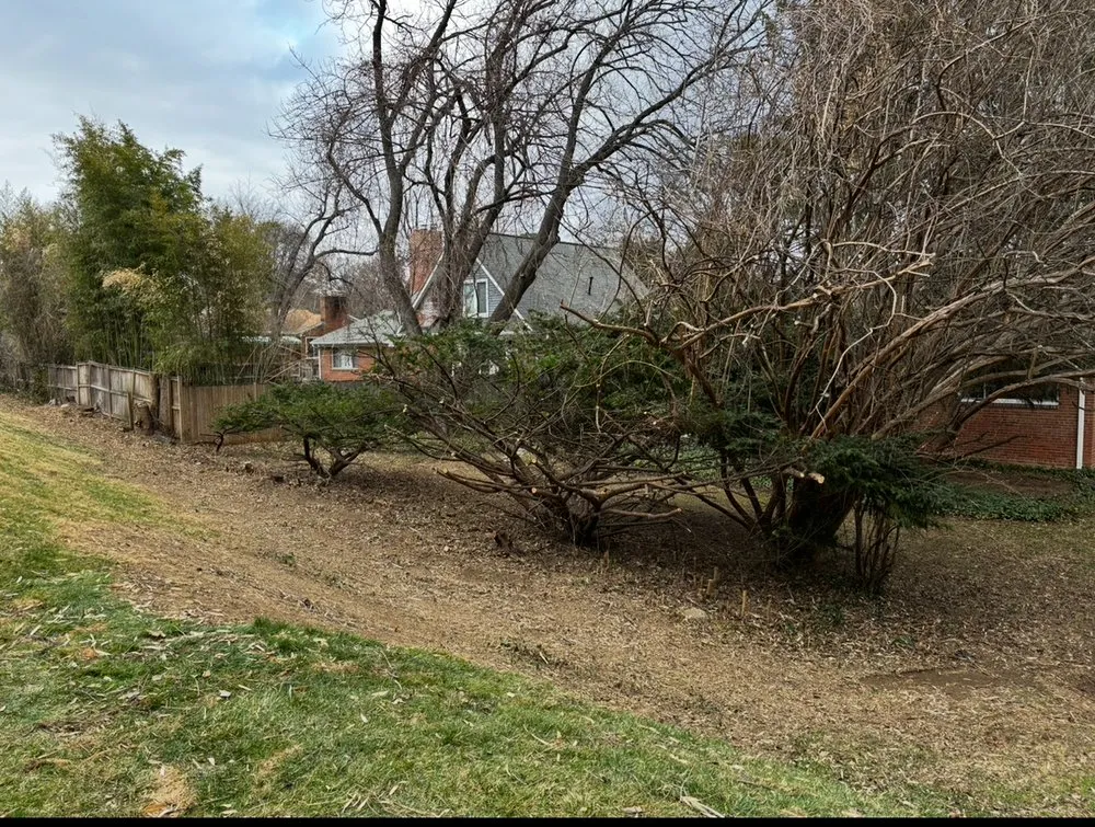 Expert outdoor landscaping in Beltsville, MD - Evergreen Tree Experts