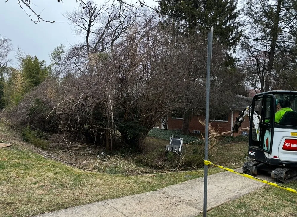 Expert garden landscaping in Beltsville, MD by Evergreen Tree Experts