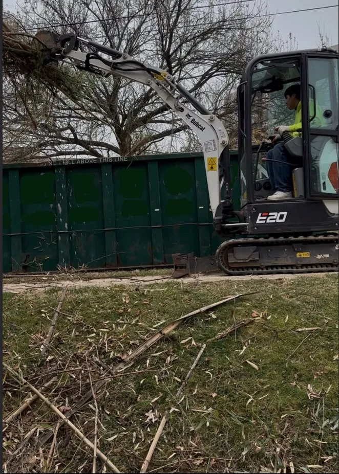 Expert garden landscaping in Beltsville, MD by Evergreen Tree Experts