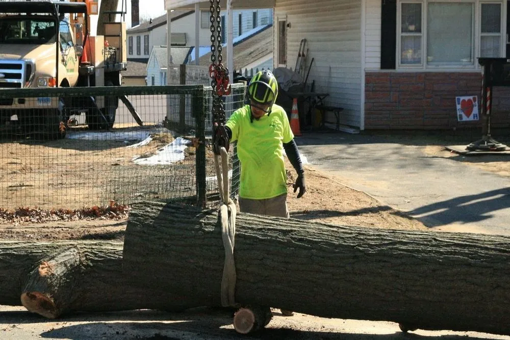 Affordable yard cleanup service in Windsor Locks, CT - Evergreen Tree Service