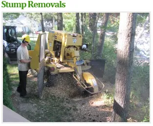 Trusted residential landscaping experts serving Windsor Locks, CT - Evergreen Tree Service