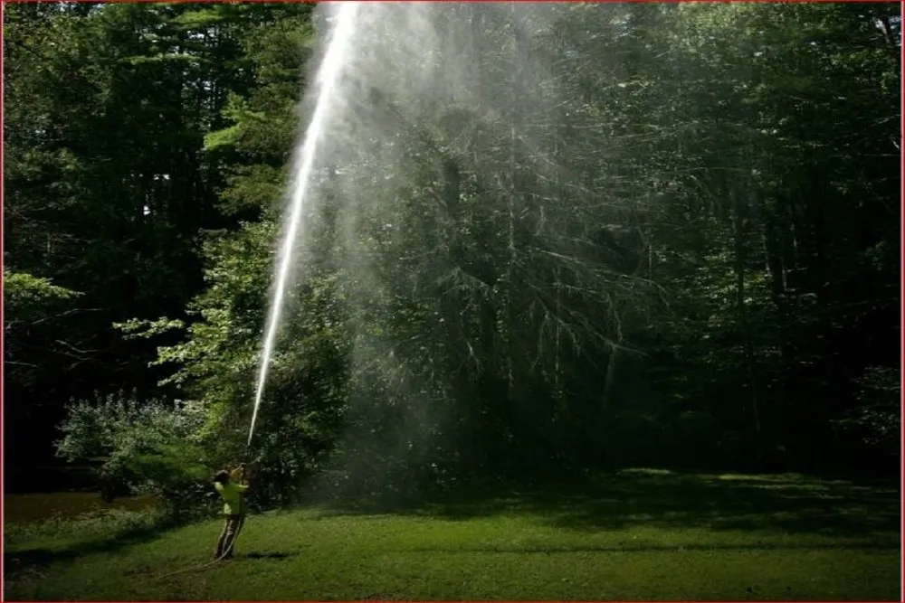 Reliable yard cleanup service for homes across Windsor Locks, CT - Evergreen Tree Service