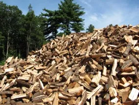 Local lawn mowing service experts serving Windsor Locks, CT - Evergreen Tree Service