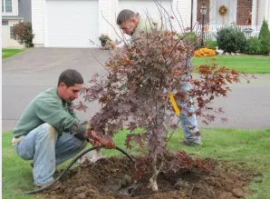 Professional residential landscaping in Windsor Locks, CT - Evergreen Tree Service