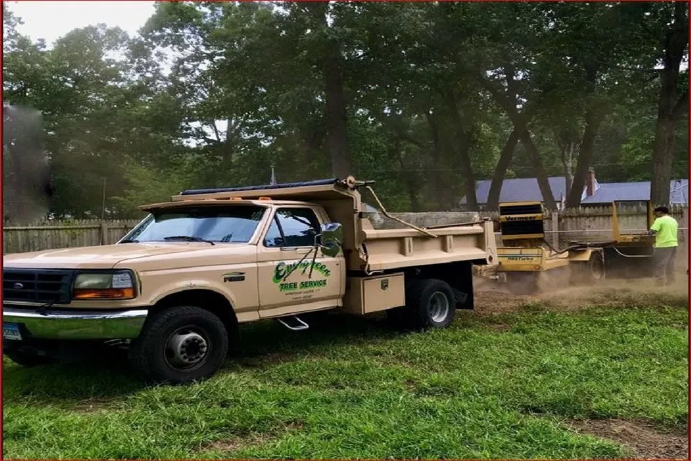 Trusted residential landscaping in Windsor Locks, CT - Evergreen Tree Service