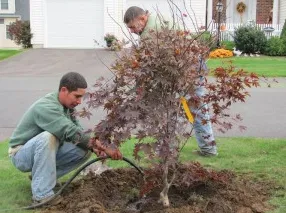 Custom landscaping services for outdoor upgrades across Windsor Locks, CT - Evergreen Tree Service