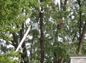 Custom garden landscaping in Windsor Locks, CT - Evergreen Tree Service