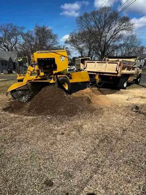 Affordable lawn care service experts serving Windsor Locks, CT - Evergreen Tree Service