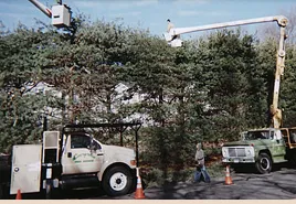 Trusted landscape design for outdoor upgrades in Windsor Locks, CT by Evergreen Tree Service