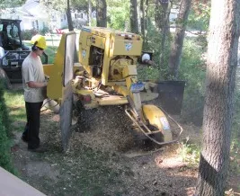 Trusted outdoor landscaping experts serving Windsor Locks, CT - Evergreen Tree Service