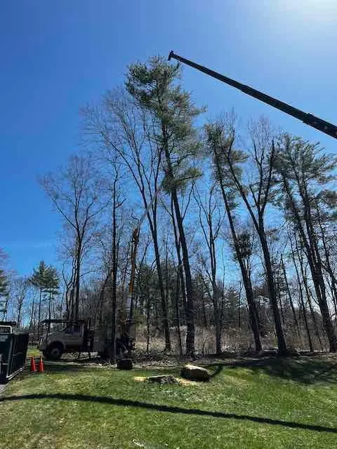 Trusted landscape design in Windsor Locks, CT - Evergreen Tree Service