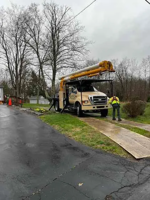Professional yard cleanup service in Windsor Locks, CT by Evergreen Tree Service