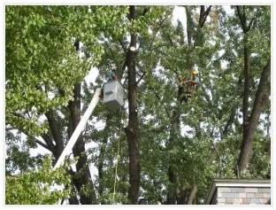 Trusted landscape design for beautiful yards across Windsor Locks, CT - Evergreen Tree Service