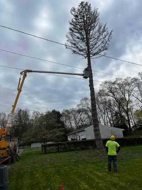 Custom landscape installation in Windsor Locks, CT - Evergreen Tree Service