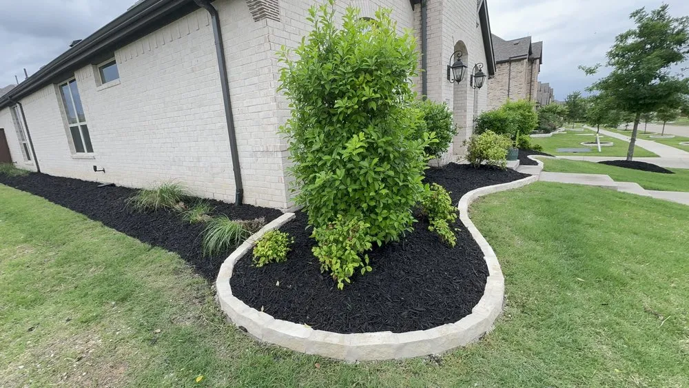 Trusted lawn mowing service with custom design in Plano, TX by Evergreen Tree services & Landscaping