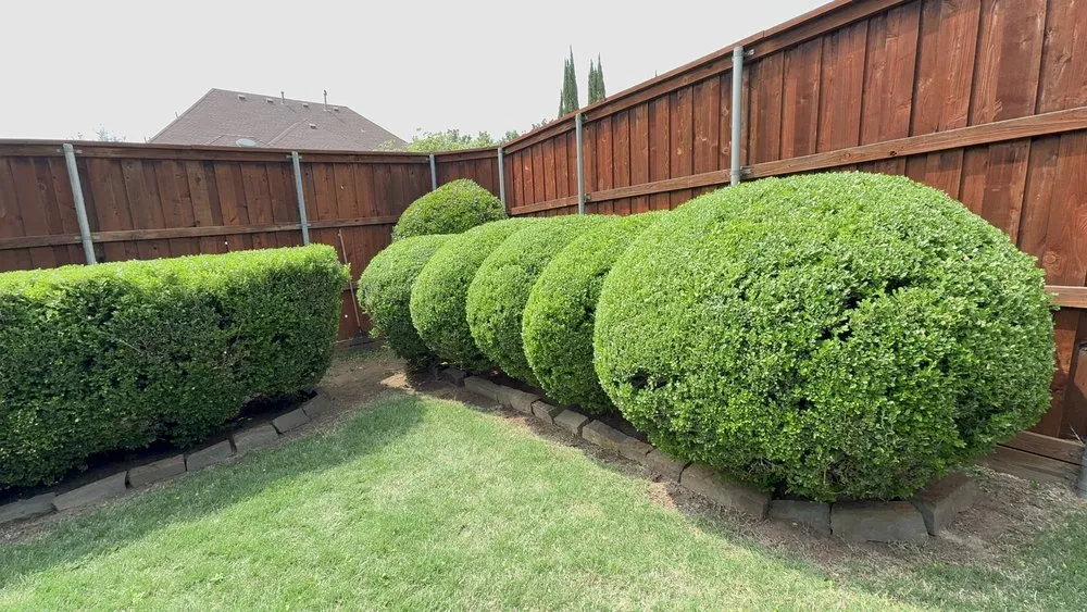 Affordable garden landscaping in Plano, TX by Evergreen Tree services & Landscaping