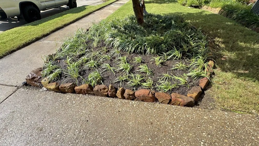 Expert yard maintenance for residential properties in Plano, TX by Evergreen Tree services & Landscaping