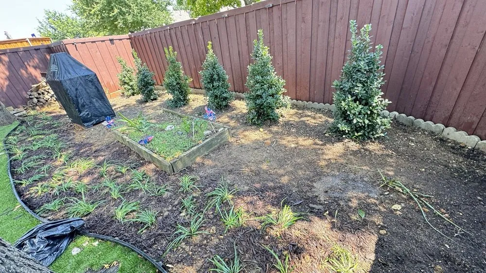 Affordable landscape design experts serving Plano, TX - Evergreen Tree services & Landscaping