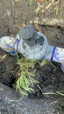 Evergreen Tree services & Landscaping Logo