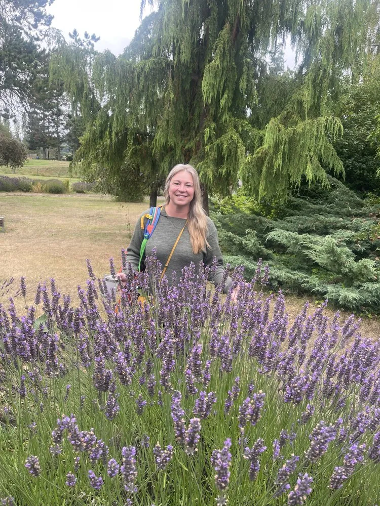 Reliable outdoor landscaping for homes in Hot Springs, AR by Evergreen Tree Services