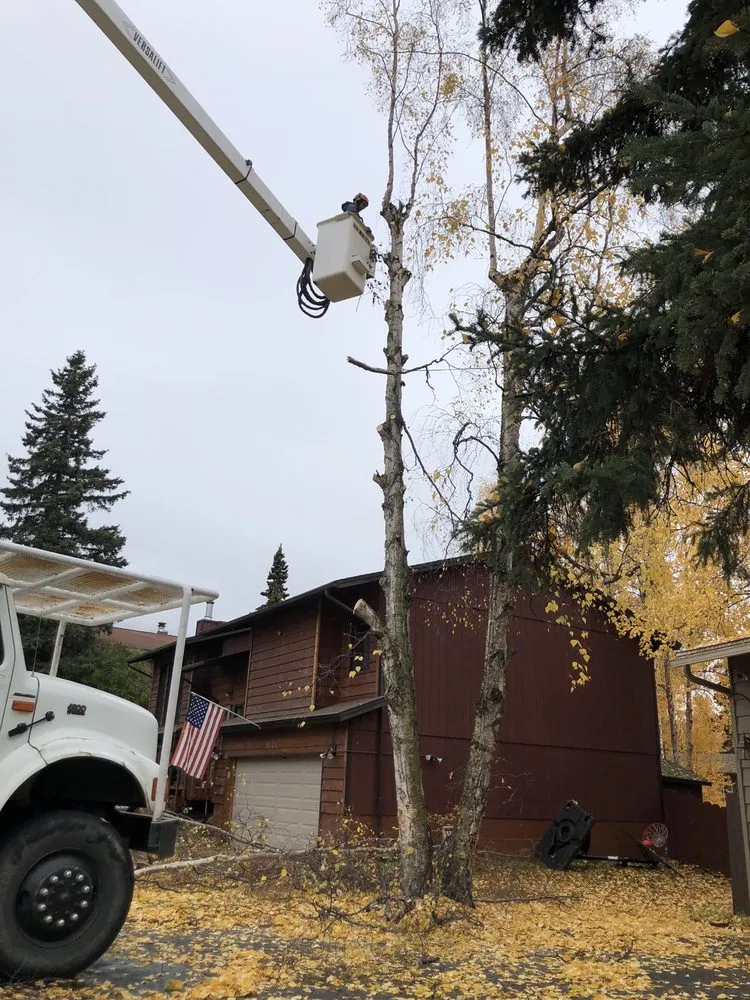 Affordable landscape installation experts serving Hot Springs, AR - Evergreen Tree Services