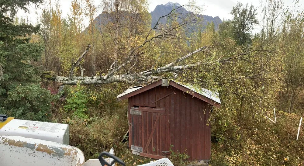 Local yard cleanup service in Hot Springs, AR by Evergreen Tree Services