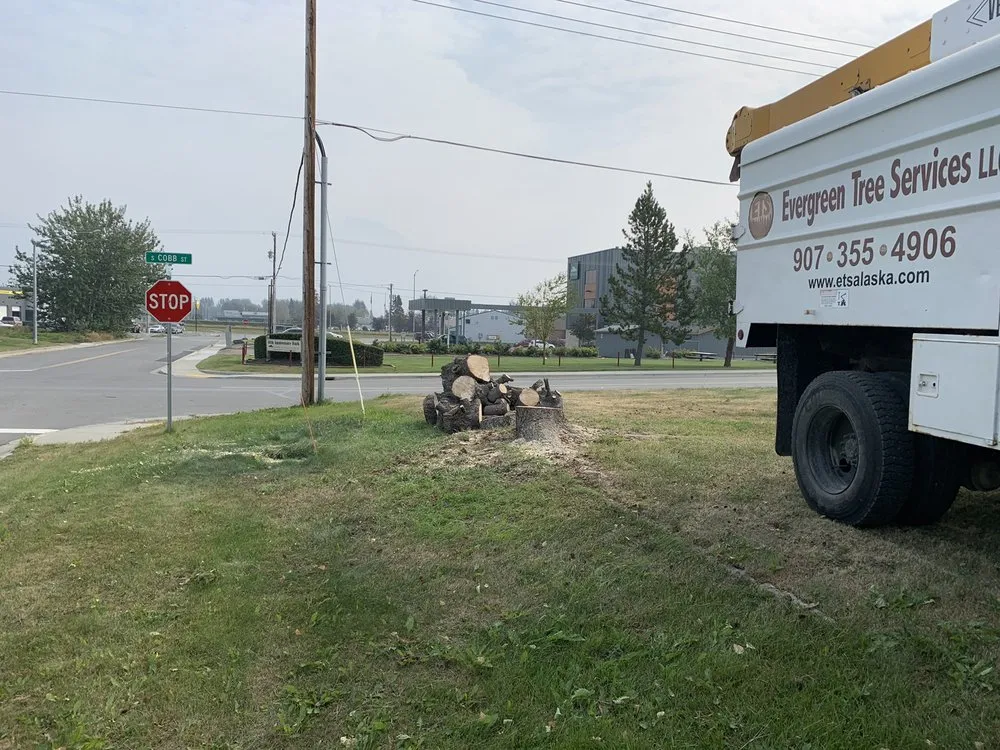 Affordable lawn mowing service for beautiful yards across Hot Springs, AR - Evergreen Tree Services