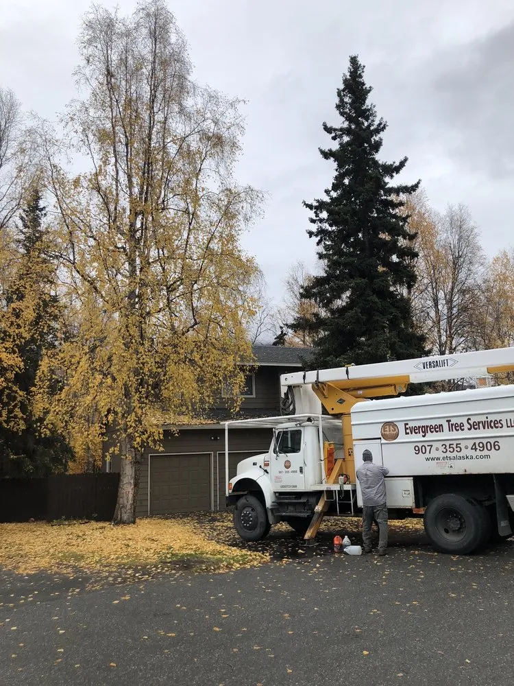 Reliable lawn mowing service experts serving Hot Springs, AR - Evergreen Tree Services