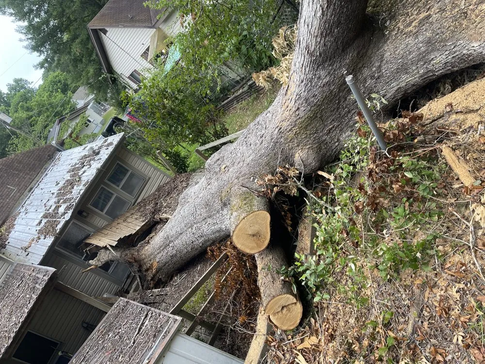 Expert outdoor landscaping in Hot Springs, AR by Evergreen Tree Services