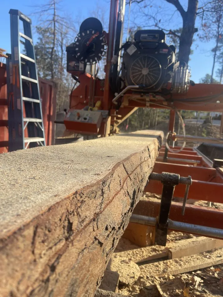 Expert yard cleanup service in Hot Springs, AR - Evergreen Tree Services