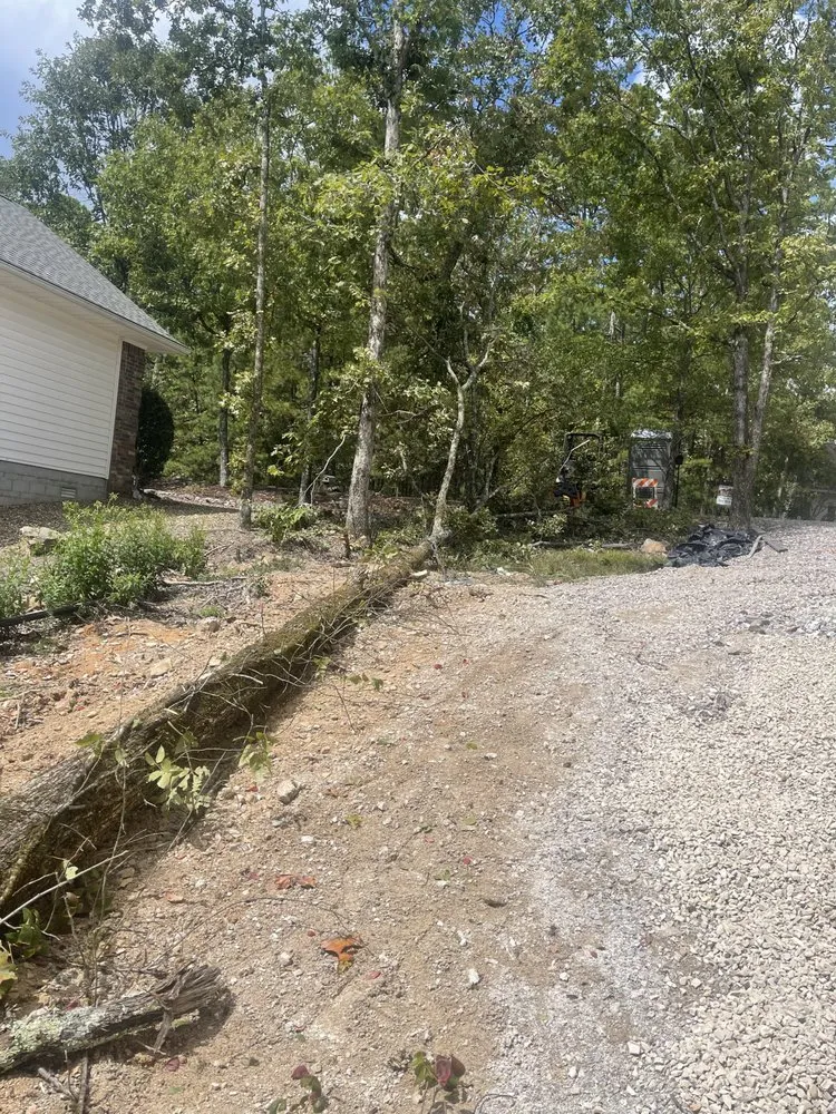 Local yard cleanup service for beautiful yards across Hot Springs, AR - Evergreen Tree Services