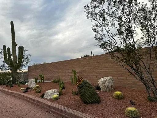 Reliable landscaping services experts serving Tucson, AZ - Evergreen