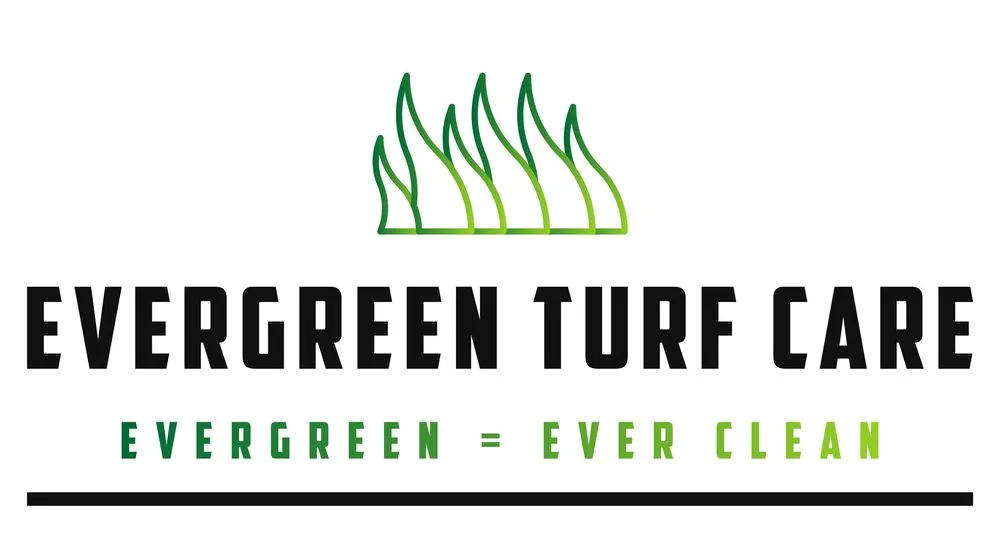 Top-rated yard cleanup service near you across Lake Sherwood, CA - Evergreen Turf Care